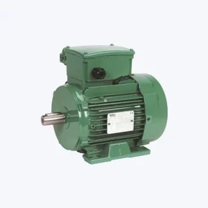 SIngle Phase Mot LS 90PR (LS PR)